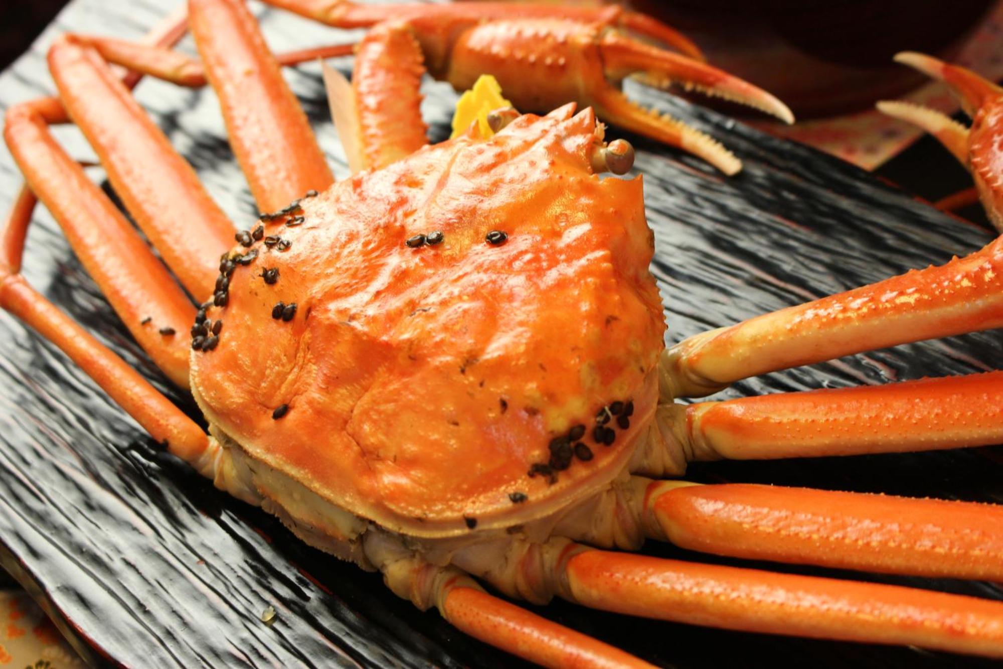 Ootoku 호텔 사카이 외부 사진